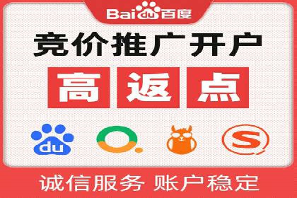 SEM精准广告投放的五大成功案例